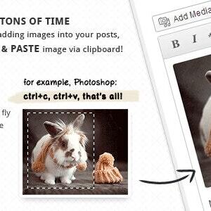 Image Elevator for WordPress