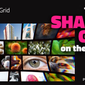 Shader Grid
