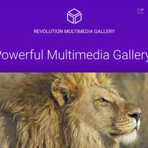 Revolution Multimedia Gallery WordPress & WooCommerce Plugin