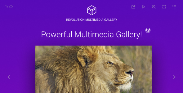 Revolution Multimedia Gallery WordPress & WooCommerce Plugin