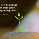 What We Lost When Envato Closed Its Forums And What We’re Rebuilding