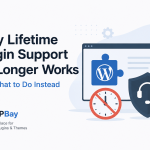 Why Lifetime Plugin Support No Longer Works?
