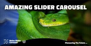 Noise Slider Carousel WordPress and WooCommerce Plugin