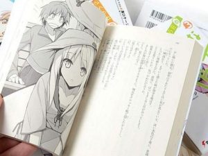 Web Novel Scraper – NovelDrama.org Crawler
