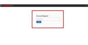 Password Protect CPTs