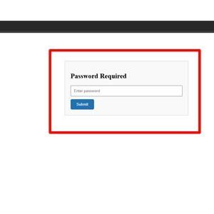 Password Protect CPTs